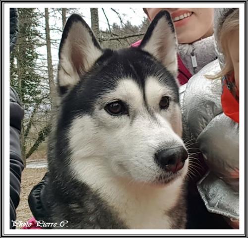 Elfie (5 ans)