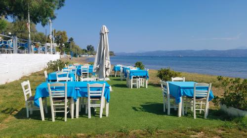 La réparation par le doux câlin de la mer