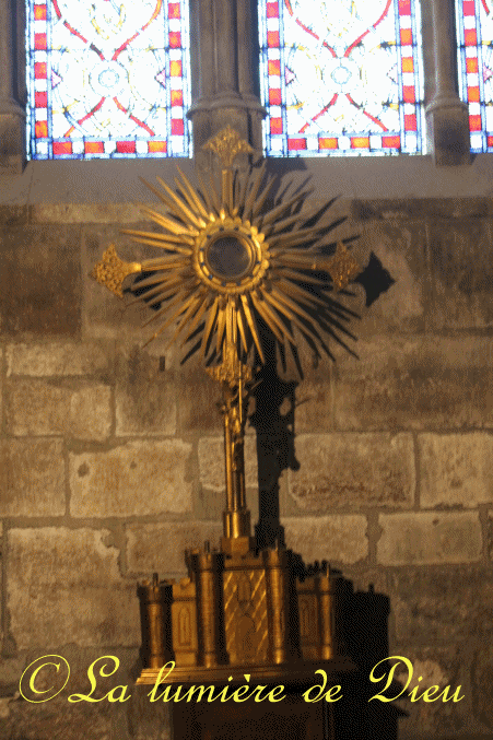 La cathédrale Notre-Dame de Paris