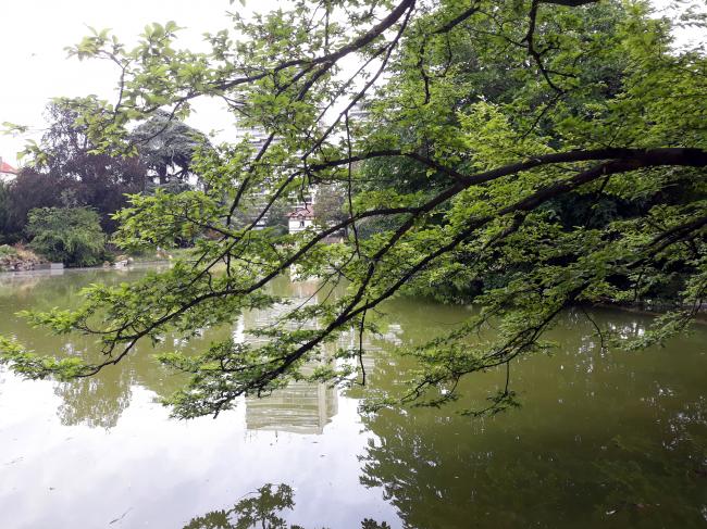 ☻ Une exposition de sculptures au parc Montsouris