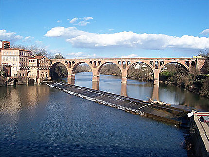 Albi  (Tarn)