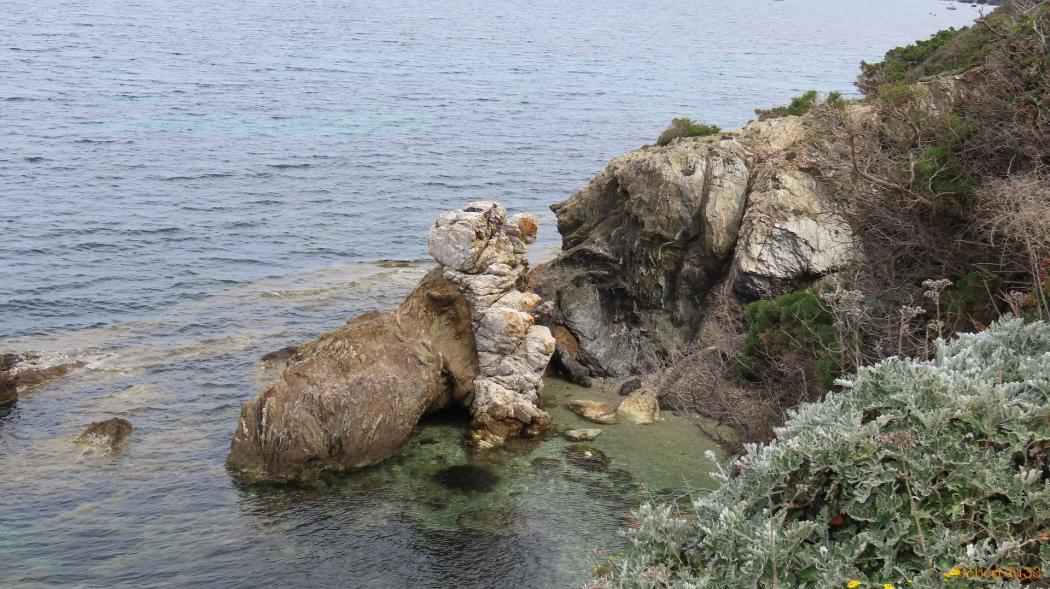 La Madrague - presqu'île de Giens - 14