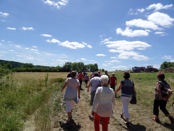Visite des nouvelles fouilles d'Alesia avec la Société Archéologique et Historique du Pays Châtillonnais (SAHC)