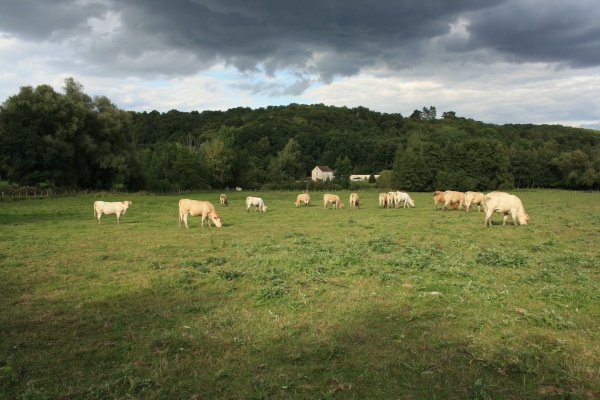 Saint Lambert des Bois (FIN)