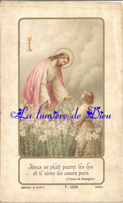 Le lys : la fleur de Pâques