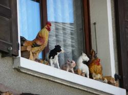 J'irai dormir chez la dame de Hautes Savoie 