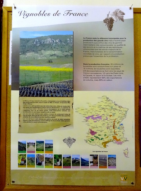 Une exposition sur la vigne à la Bibliothèque Municipale de Châtillon sur Seine