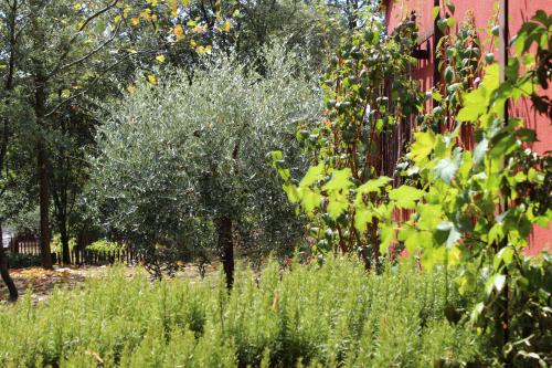 Poésies sur les jardins