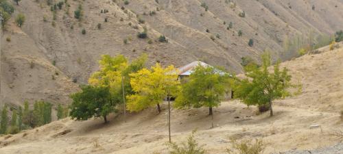 Route vers le lac de VAN...