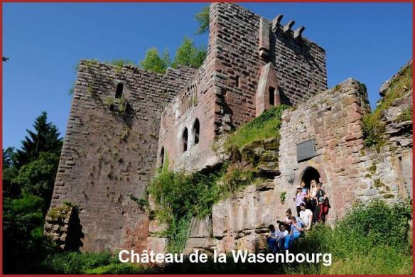 ╰⊱♥⊱╮ღ꧁ Département 88  ꧂ღ╭⊱♥≺