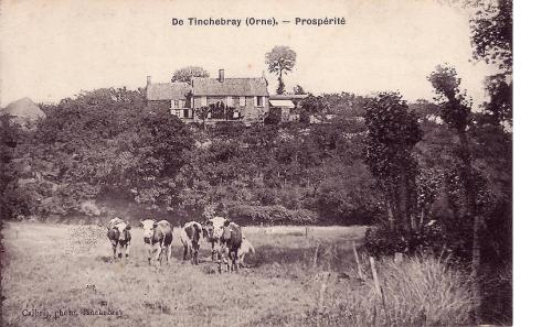 LES REMPARTS DE TINCHEBRAY (Orne)