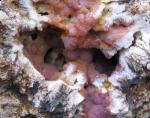 DOAZIT, MONTAUT Landes géodes de quartz et calcédoine