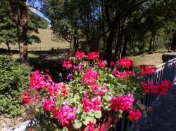 Lundi, en une, deux, trois, quatre ou plus en photos .... 