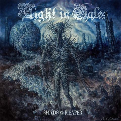 NIGHT IN GALES - Les détails du nouvel album Shadowreaper