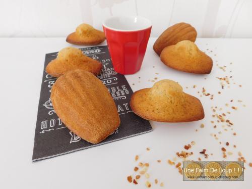 Madeleines au pralin