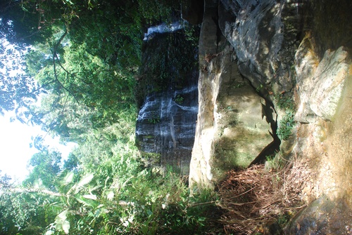 Jeudi 11 juillet : Orangs-outans et cascade