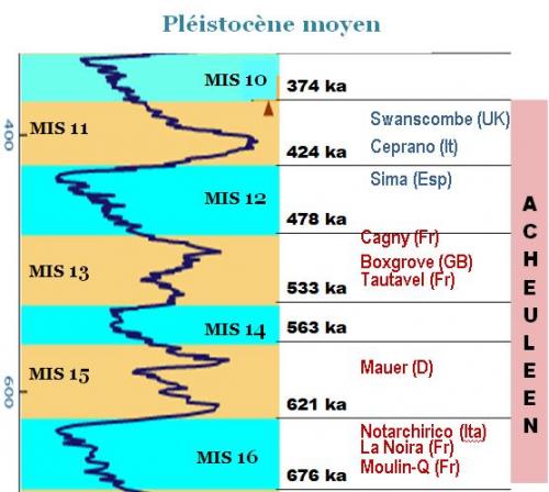 2 - Pléistocène moyen (-780 ka ) : les humains d'avant Néandertal