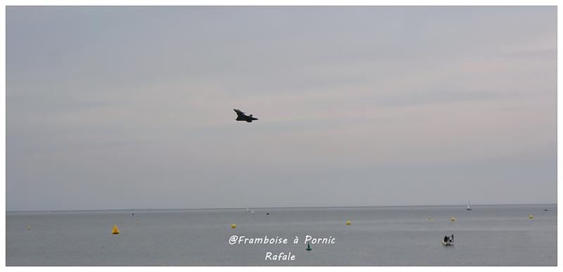 Pornic, la Patrouille de France a fait son show