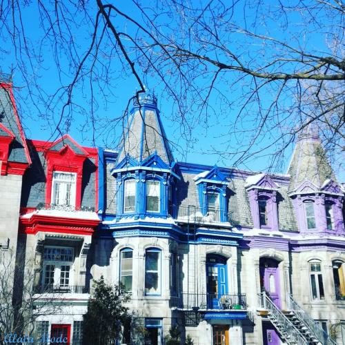 Voyage de Noces au Québec - Montréal Jour 2