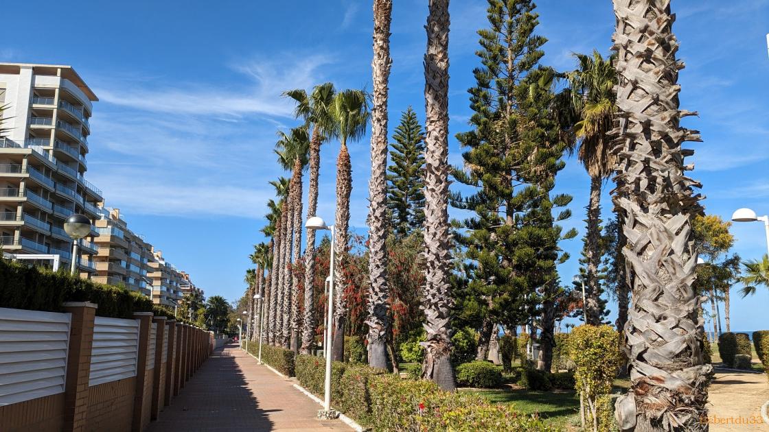 Benicasim -2