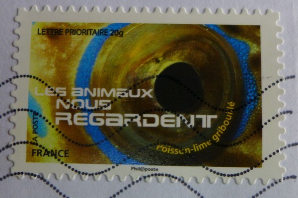 Vos jolies cartes de voeux - 3 -