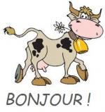 Cartonnettes "Vache ou Vachette"