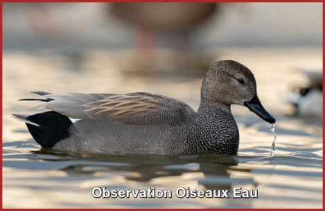 ღ꧁ღ╭⊱ꕥ   47 Lot et Garonne   ꕥ⊱╮ღ꧂ღ