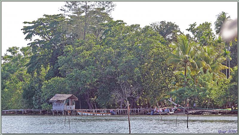 Débarquement à l'île Fergusson, puis, accompagnés par des guides locaux, direction de la source d'eau chaude de Deidei, avec ses fumées et ses geysers - Papouasie Nouvelle-Guinée