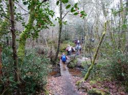 CR / RANDO 15 / ST-MEDARD-EN-JALLES