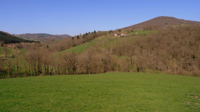 Département du Rhône
