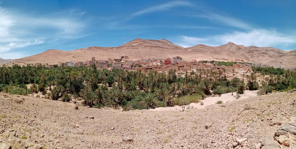 Oasis d'Aguinane 