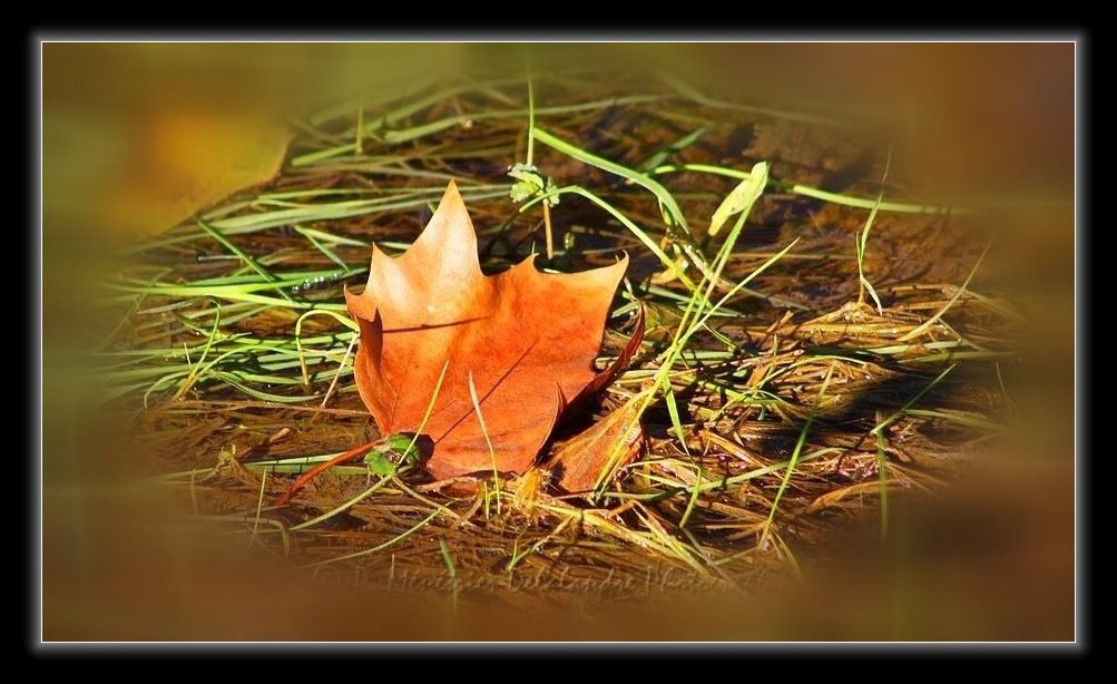 Voyage...