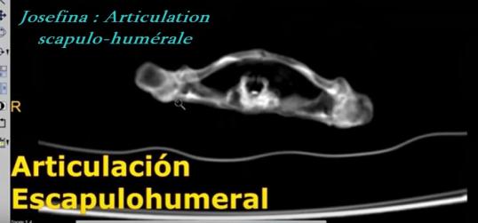 ALIEN PROJECT - Les momies du Pérou/5