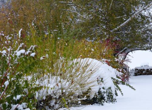 Novembre :