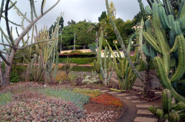 Circuit en étoile à Madère : Funchal, son marché et son jardin botanique