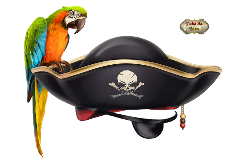 Pirates série 2