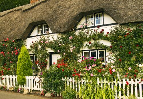 Cottages anglais