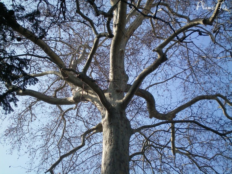 Image026.jpg