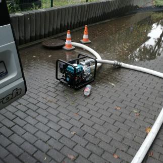 na swojej ziemi