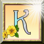 ღ꧁ღ╭⊱ꕥ  Divination ꕥ⊱╮ღ꧂ღ