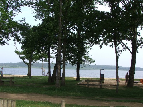 DSCF4128.JPG