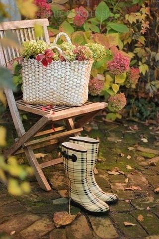 Belles images d'automne