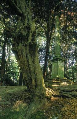 Parc d'Enghien - La Mémoire des Arbres