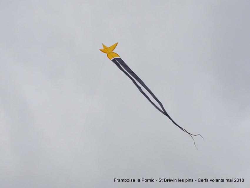 Les cerfs volants