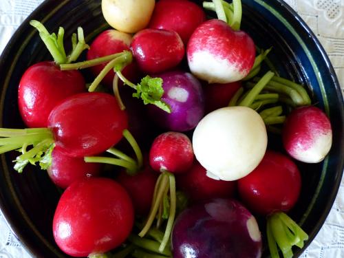 Radis :