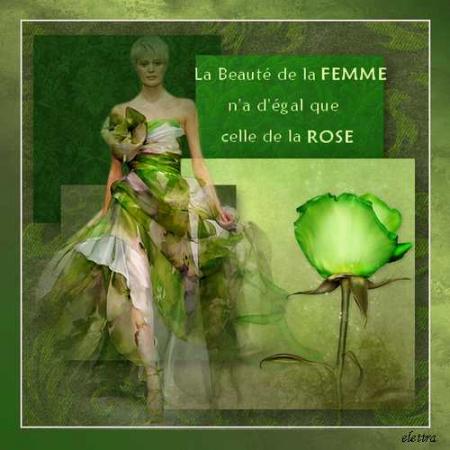 Rose