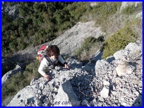 Le vallat des Brayes