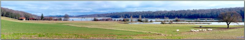Panorama sur le Lac de Puydarrieux avec son troupeau de vaches Blondes d'Aquitaine - Hautes-Pyrénées