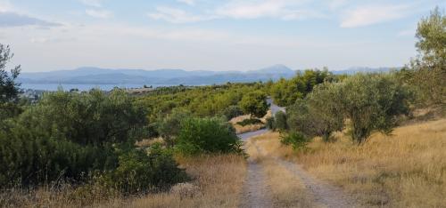 On n'a jamais été aussi près d'la fin !