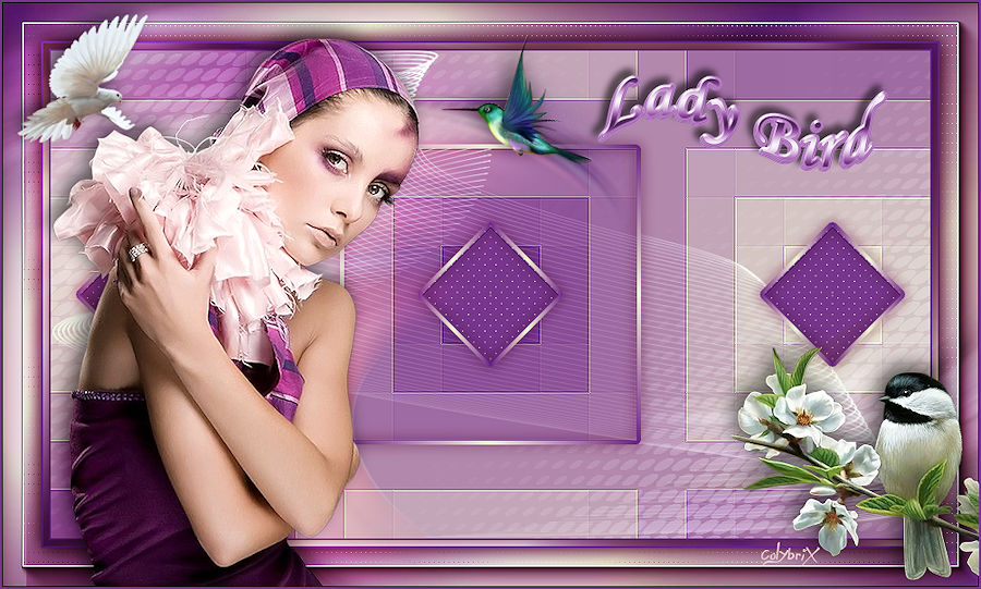 Lady Bird